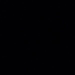 Meet your Posher, Nana